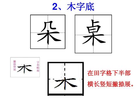 木象|木字旁右边加一个象字念什么？